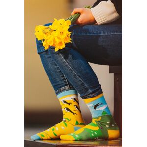 Žlto-zelené ponožky One Swallow Doesn´t Make a Spring